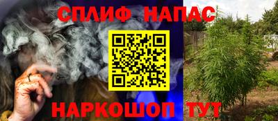 шишки Конаково