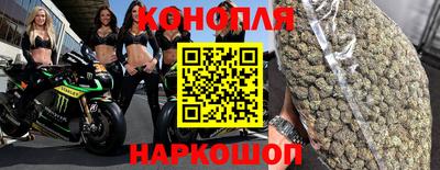шишки Конаково