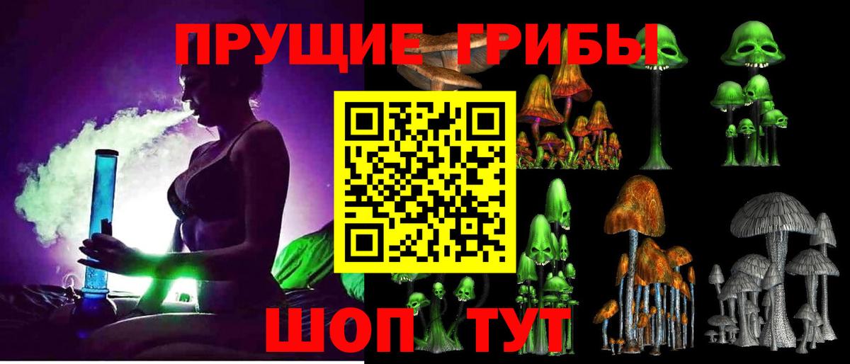 Галлюциногенные грибы Psilocybe Избербаш