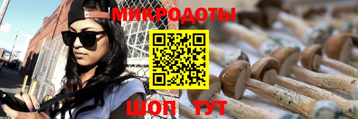Псилоцибиновые грибы прущие грибы  Вход с VPN  Избербаш 